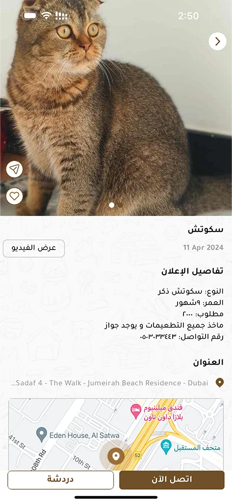 Mobile Application Development in UAE, Expert Mobile App Development Services in UAE | Innovative Design Solutions